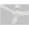 Image 1 : Ceiling Fan with Blades and Installation Guide