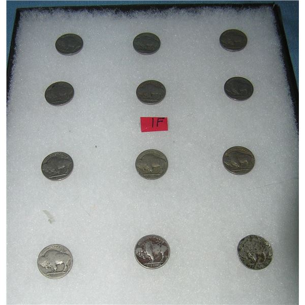 Group of early Buffalo nickles