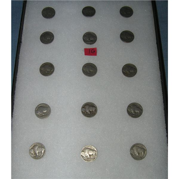 Group of early Buffalo nickles