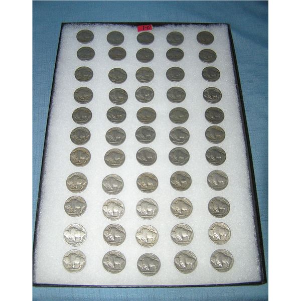 Large collection of early Buffalo nickles