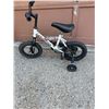 Image 1 : Louis Garner Felix et William Bike