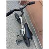 Image 2 : Louis Garner Felix et William Bike