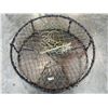 Image 2 : LARGE CRAB TRAP