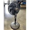Image 2 : COMFORT FLOOR FAN