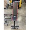 Image 2 : CAP STRENGTH WEIGHT BENCH, AND 2 OVER DOOR TRAINERS