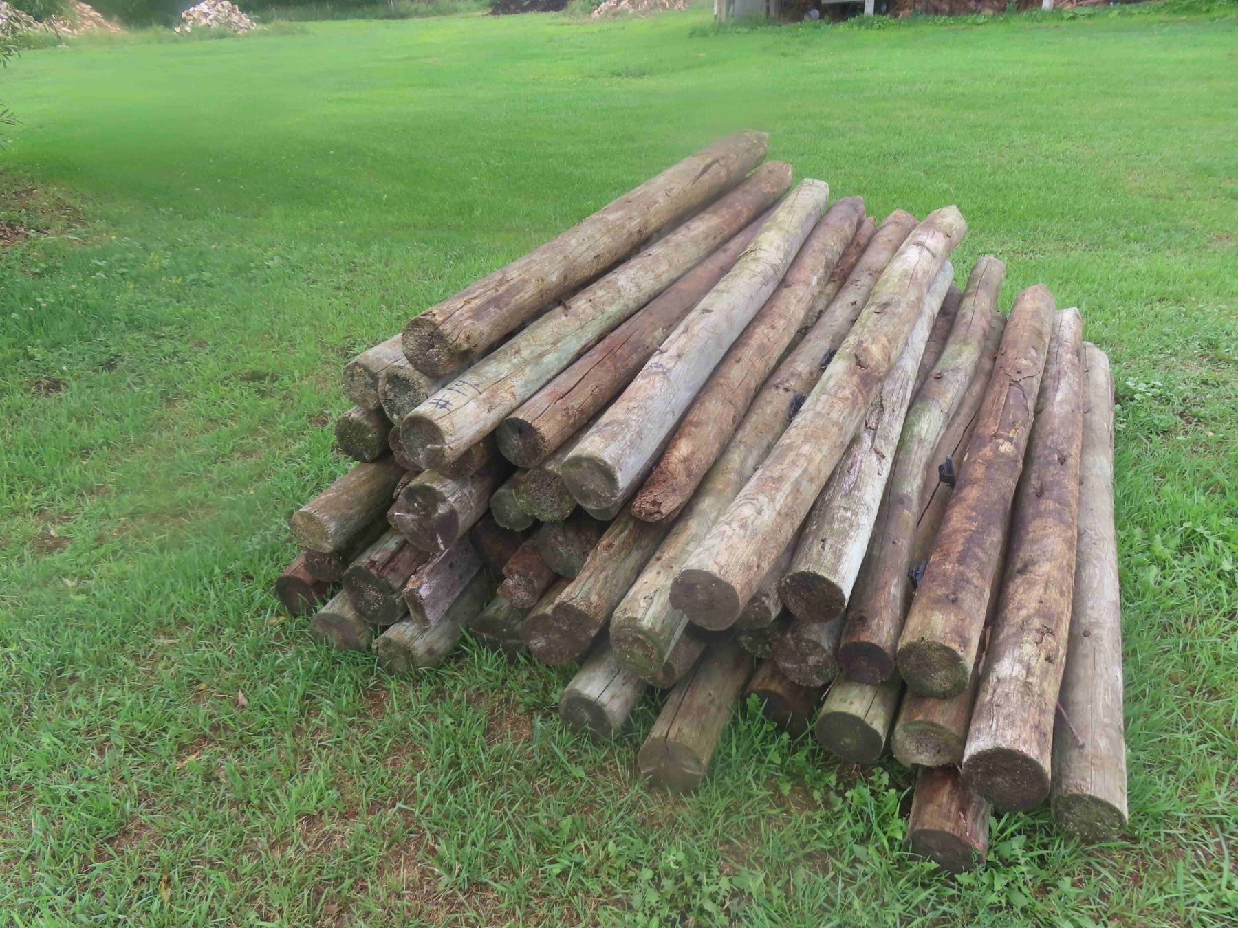 Fence Posts Sharpened (50) 6ft Treated, Sharpened Fence Posts