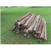 Image 1 : (50) 6ft Treated, Sharpened Fence Posts 