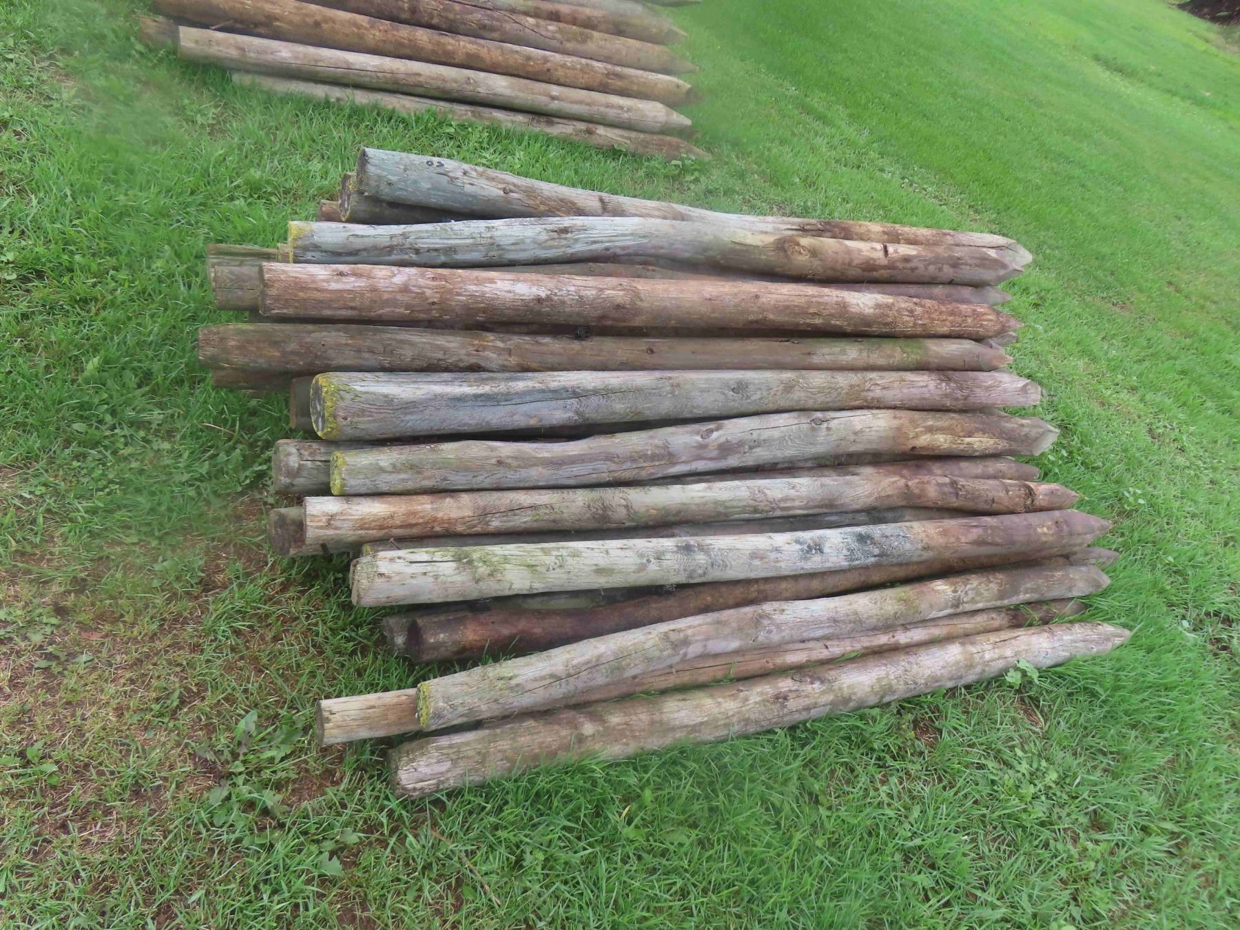 Fence Posts Sharpened (50) 6ft Treated, Sharpened Fence Posts