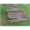 Image 1 : (50) 6ft Treated, Sharpened Fence Posts 