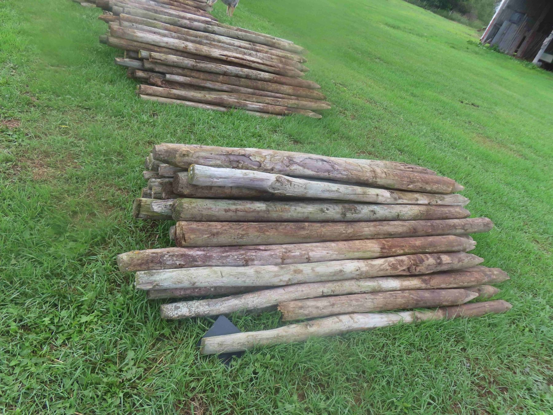 Fence Posts Sharpened (50) 6ft Treated, Sharpened Fence Posts