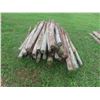 Image 2 : (50) 6ft Treated, Sharpened Fence Posts 