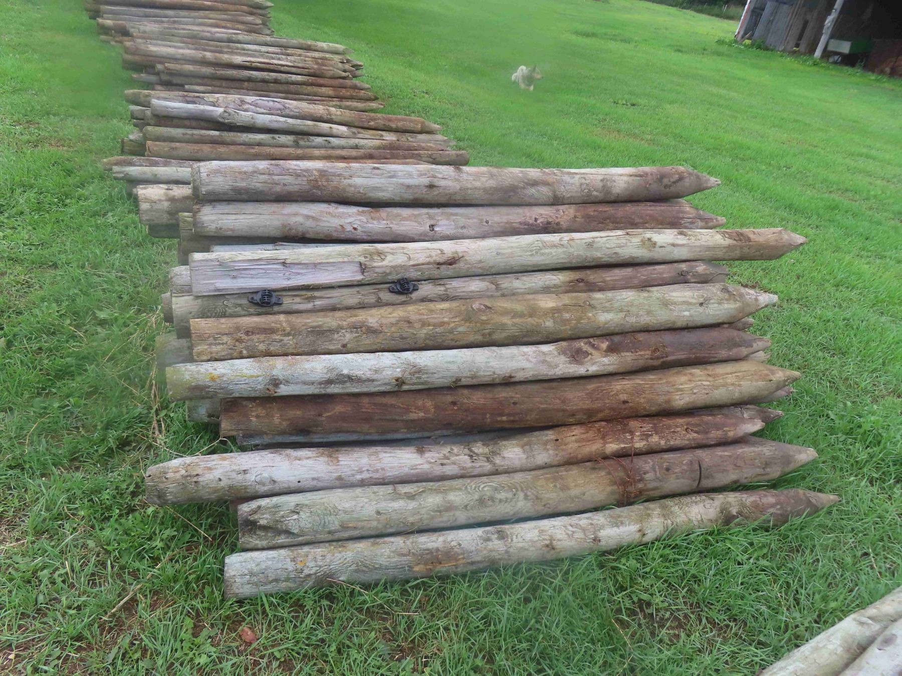 Fence Posts Sharpened (50) 6ft Treated, Sharpened Fence Posts - McSherry Auction Service Ltd.