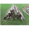 Image 2 : (50) 6ft Treated, Sharpened Fence Posts 