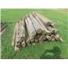 Image 2 : (50) 7ft Treated, Sharpened Fence Posts 