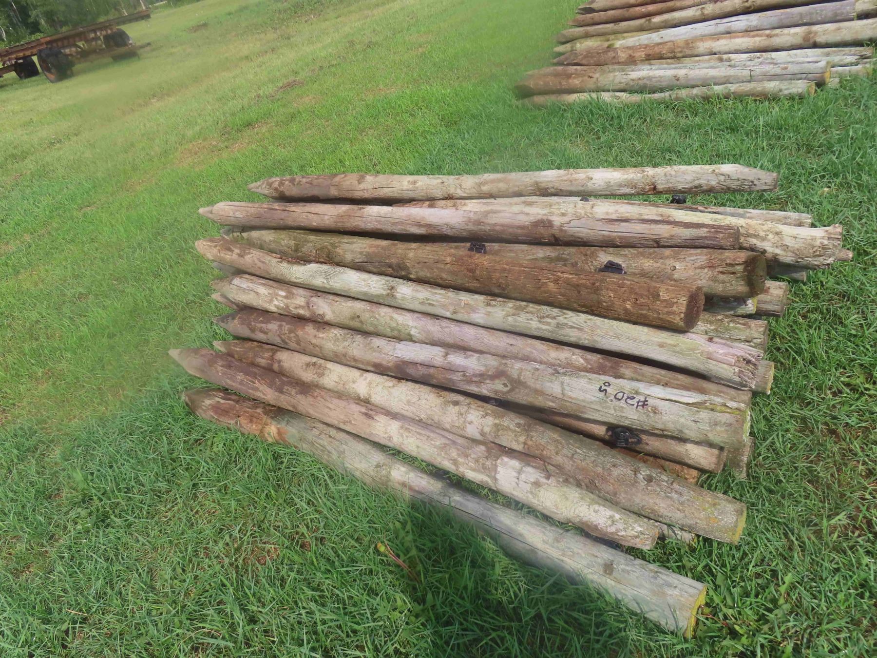 Fence Posts Sharpened (50) 6ft Treated, Sharpened Fence Posts