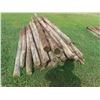 Image 2 : (50) 6ft Treated, Sharpened Fence Posts 