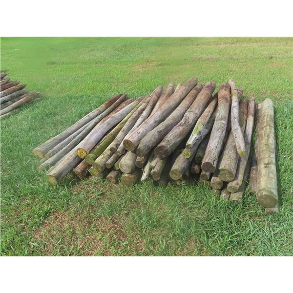 (60) 6ft Treated, Sharpened Fence Posts 