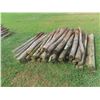 Image 1 : (60) 6ft Treated, Sharpened Fence Posts 