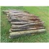 Image 2 : (60) 6ft Treated, Sharpened Fence Posts 