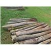 Image 3 : (60) 6ft Treated, Sharpened Fence Posts 