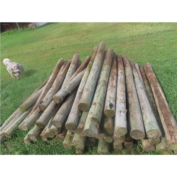 (50) 7ft Treated, Sharpened Fence Posts 