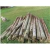 Image 1 : (50) 7ft Treated, Sharpened Fence Posts 