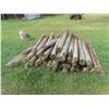 Image 2 : (50) 7ft Treated, Sharpened Fence Posts 