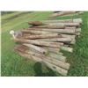 Image 3 : (50) 7ft Treated, Sharpened Fence Posts 