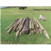 Image 1 : (25) 8ft - 10ft Corral Posts. Treated, Some are Sharpened & Some are Not. 