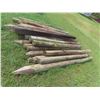 Image 2 : (25) 8ft - 10ft Corral Posts. Treated, Some are Sharpened & Some are Not. 