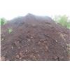 Image 2 : 3 Piles of Composted Cattle Manure | 10-15 Years Old | Center Pile 23ft x 