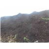 Image 8 : 3 Piles of Composted Cattle Manure | 10-15 Years Old | Center Pile 23ft x 