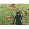 Image 3 : John Deere 2 Bottom Plow 