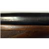 Image 8 : Winchester Model 50 Semi Auto 12 ga Shotgun