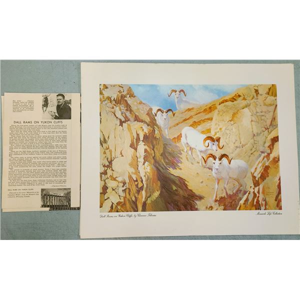 Collection of Canadian Wildlife Prints by Clarence Tillenius - 1969