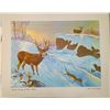 Image 2 : Collection of Canadian Wildlife Prints by Clarence Tillenius - 1969