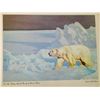 Image 3 : Collection of Canadian Wildlife Prints by Clarence Tillenius - 1969