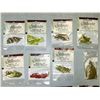 Image 2 : FLY Tying Materials - NEW - 18 Mixed lot Packs as Shown