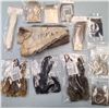 Image 2 : FLY Tying Materials - NEW - 12 Mixed lot Packs  Fur & Hair as Shown