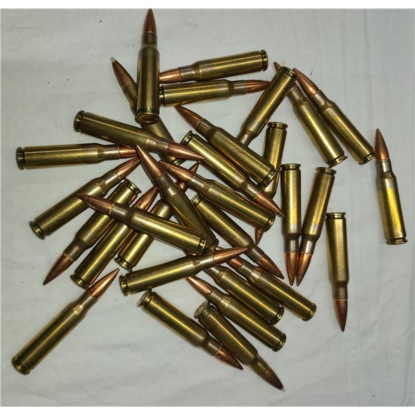 308 Win (7.62 x 51)  Mixed Lot Ammunition - 30 rds