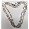 Image 1 : SILVER 3.89G 15.5" NECKLACE