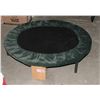 Image 1 : EXERCISE TRAMPOLINE **REPAIRED**