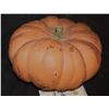 Image 1 : DARK SHADOWS PUMPKIN FROM COLLINWOOD YARD