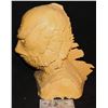 Image 2 : CREATURE FROM THE BLACK LAGOON HEAD CASTING VINTAGE PULL FROM ORIGINAL MOLD