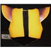 Image 2 : ZZ SUPER HERO CHEST AND BACK ARMOR B