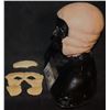 Image 2 : TRAIL OF THE SCREAMING FOREHEAD SCREEN USED STAGE 1 NO RESERVE CHIODO BROTHERS