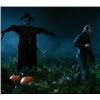 Image 2 : DARK SHADOWS PUMPKIN FROM COLLINWOOD YARD