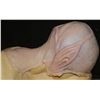 Image 2 : ALIEN ELF SILICONE COWL WITH EARS NO RESERVE