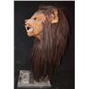 Image 2 : EL LOBO WEREWOLF HEAD FROM NON-AIRED PILOT