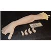 Image 2 : SALEM'S LOT BLOODY SILICONE BARLOW VAMPIRE ARM WITH SEVERED FINGERS NO RESERVE